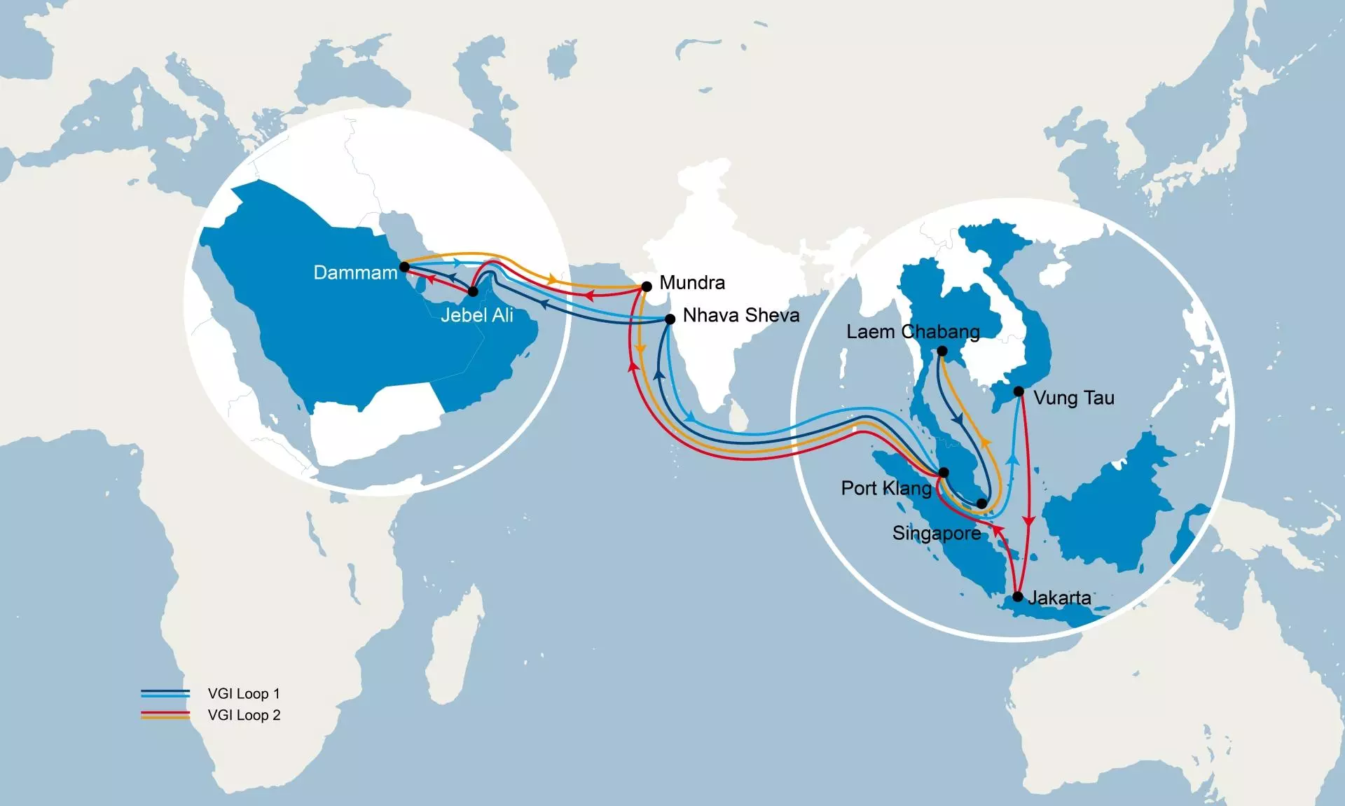 CMA CGM to launch butterfly service VGI connecting Asia, India, ME