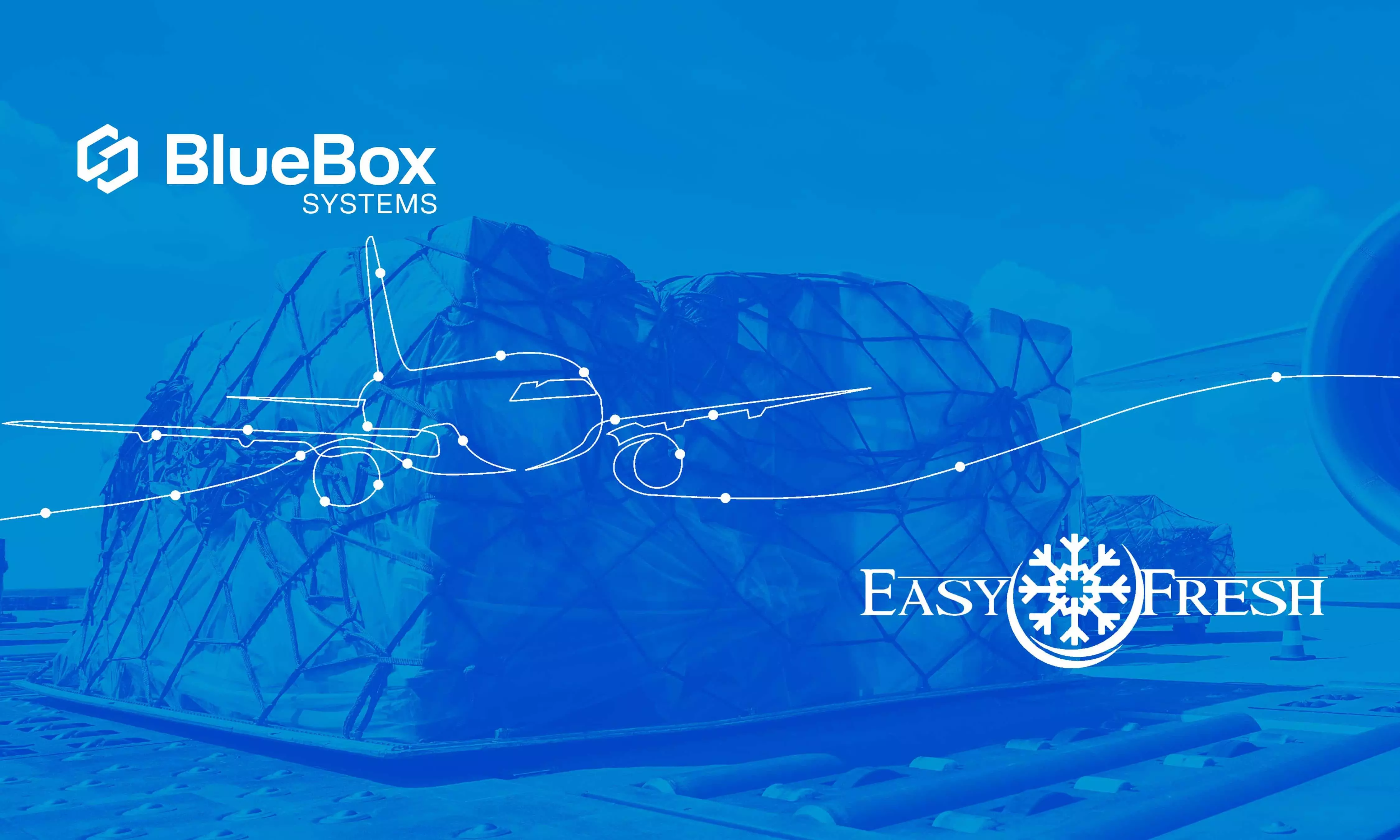 Easyfresh Netherlands, BlueBox team up for cold chain shipments