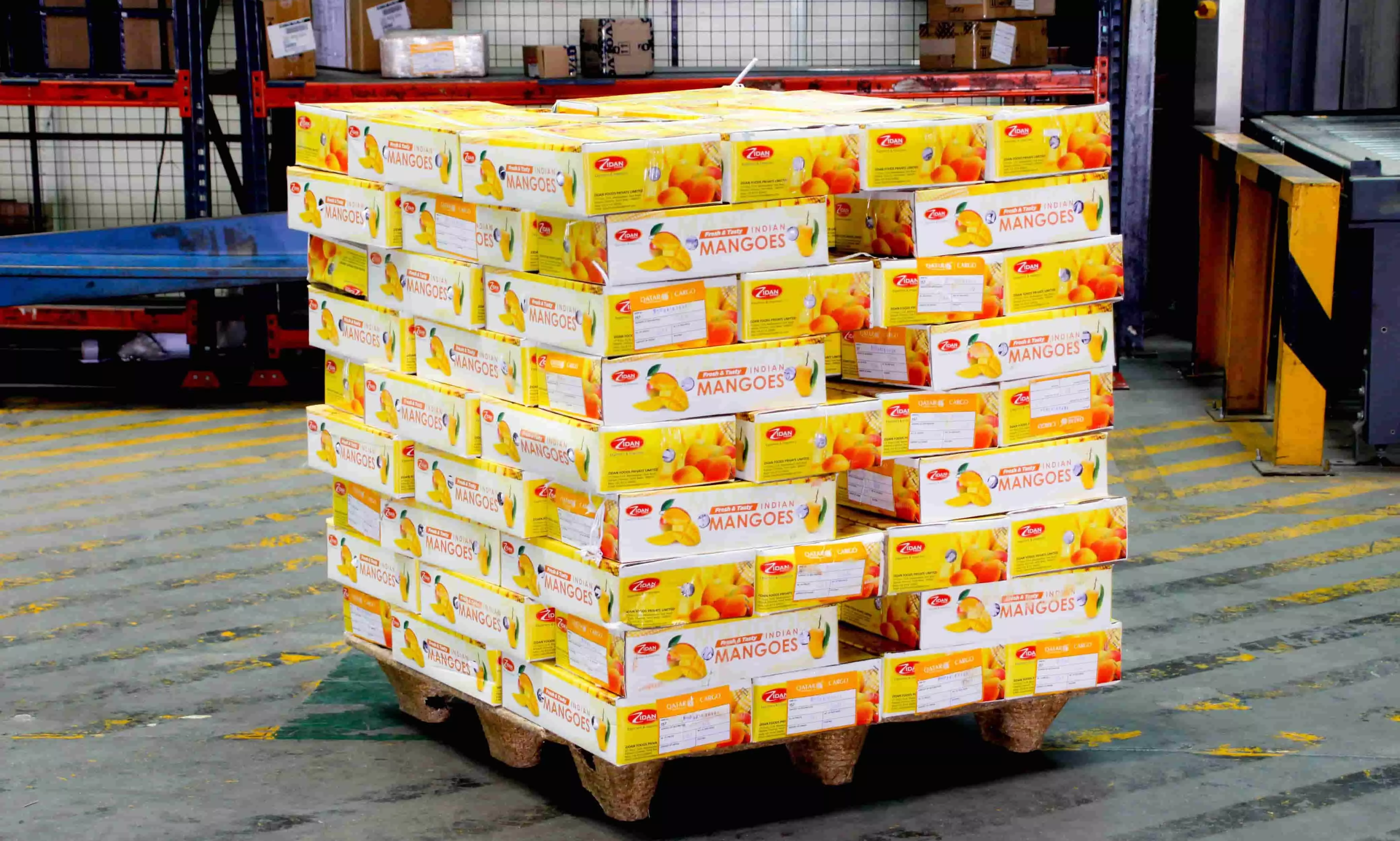 BLR airport ships 822 MT of mangoes to 60+ international destinations