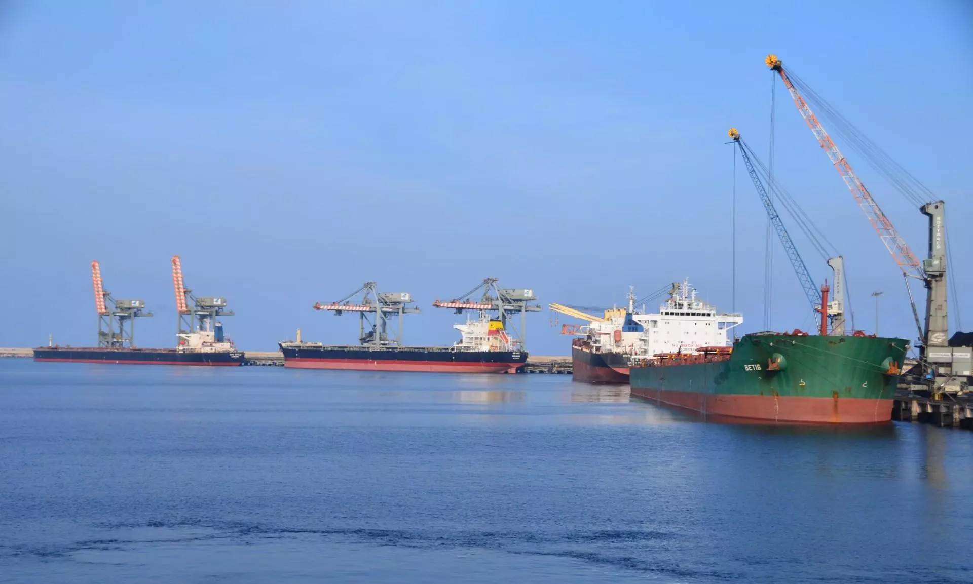 Adani Gangavaram Port achieves new record in timber log handling