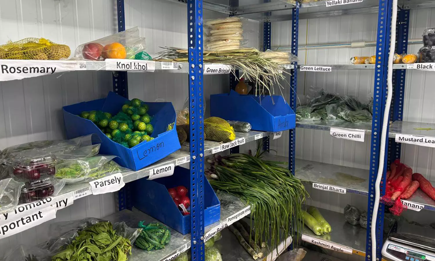 Temperature-controlled cold room for vegetables